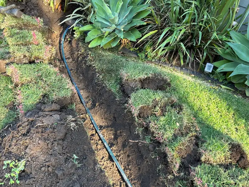 New black poly water pipe laid in a narrow trench cut through a lawn beside a garden bed