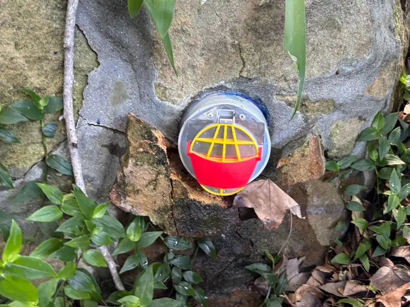 Red and yellow non-return valve flap fitted to a pipe outlet set into a sandstone garden wall