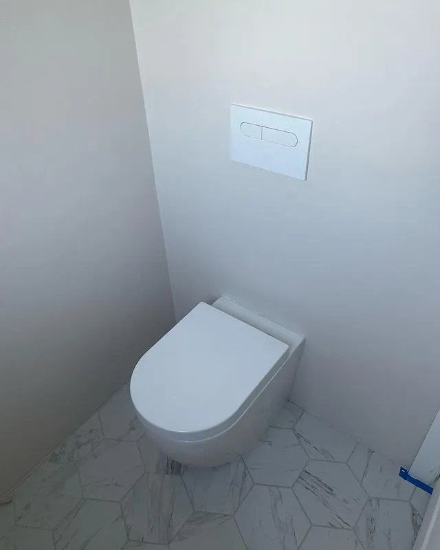 Wall-hung toilet with a concealed cistern and flush plate