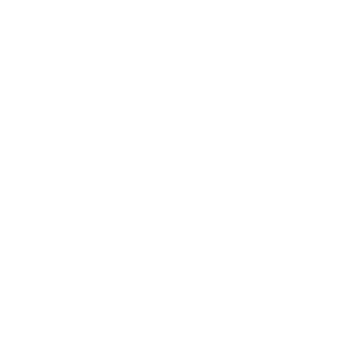 Shower Repairs